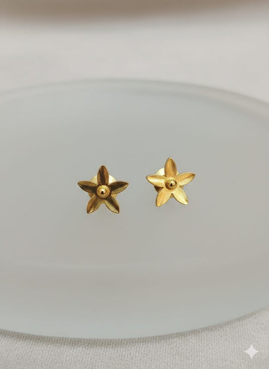 Tiny Star Shape Golden Ear Studs – Minimal Stainless Steel Earrings for Women